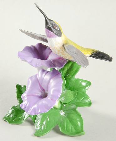 Garden Birds Black Chinned Hummingbird - Boxed