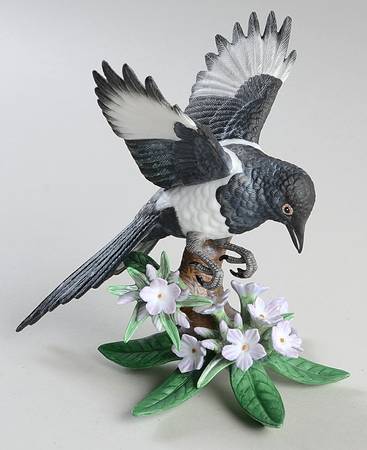 Garden Birds Black Billed Magpie - Boxed