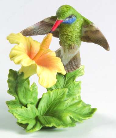 Garden Birds Mexican Broad-Billed Hummingbird - No Box