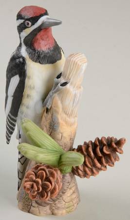 Garden Birds Yellow-Bellied Sapsucker - Boxed