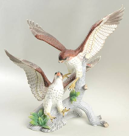 Hunters of The Sky Challenge Of The Red-Tail Hawks - Boxed