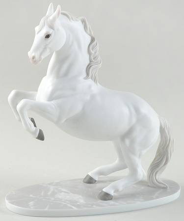 International Horses Airs Above The Ground-Lipizzan Stallion - No Box