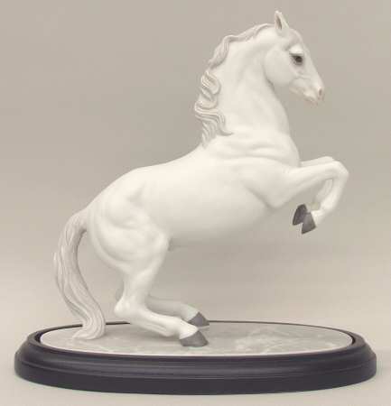 International Horses Airs Above The Ground-Lipizzan Stallion - No Box