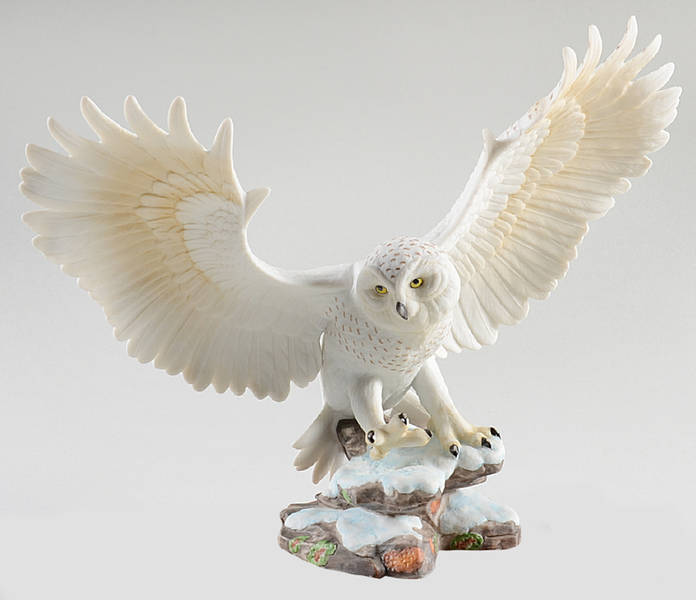 Owls of America Snowy Owl - No Box