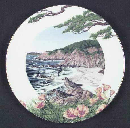 Americas Alamanac Windswept Tide On The Western Shore - Boxed