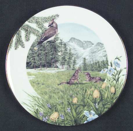 Americas Alamanac Alpine Meadows In The Cascades - Boxed