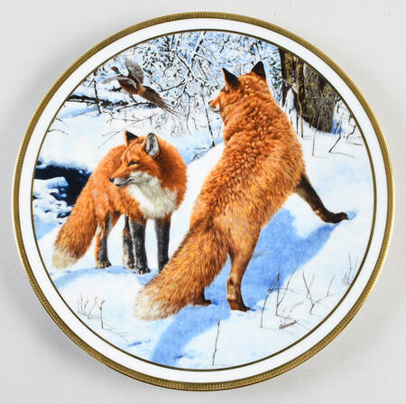 American Wildlife Red Foxes - With Box