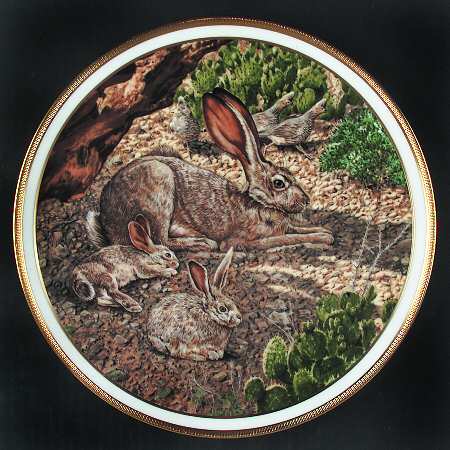 American Wildlife Jack Rabbit - Boxed