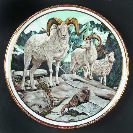 American Wildlife Dall Sheep - No Box