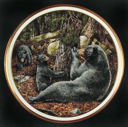 American Wildlife Black Bears - Boxed