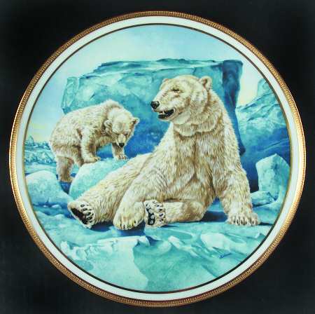 American Wildlife Polar Bears - Boxed