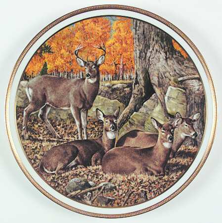 American Wildlife White-Tailed Deer - No Box