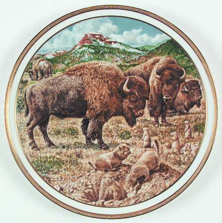 American Wildlife Buffalo - Boxed