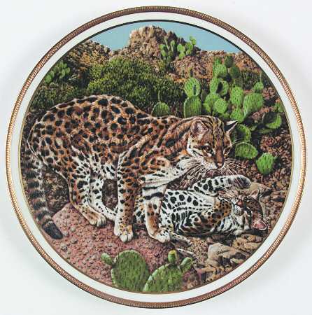 American Wildlife Ocelots - Boxed