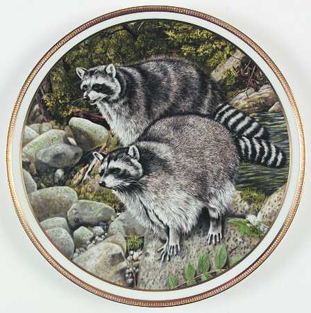 American Wildlife Raccoons - No Box