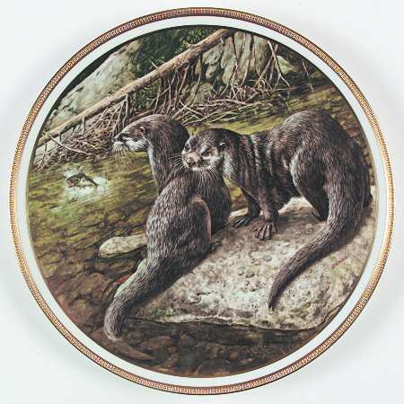 American Wildlife Otters - No Box
