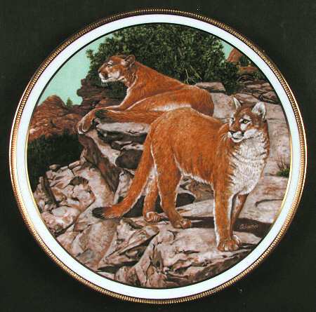 American Wildlife Mountain Lion - Boxed