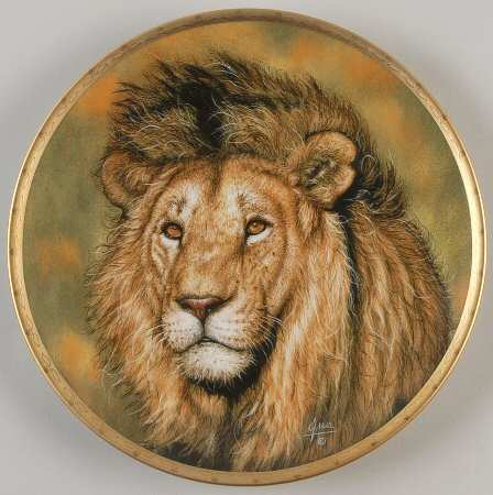 Big Cats of The World Lion - No Box