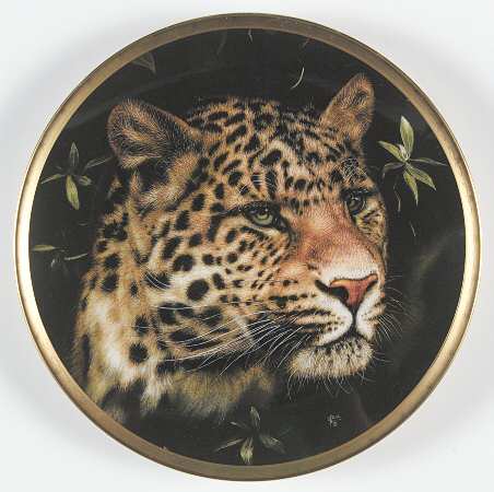Big Cats of The World Chinese Leopard - No Box
