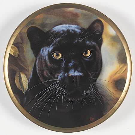 Big Cats of The World Black Panther - No Box