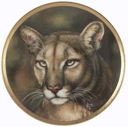 Big Cats of The World Cougar - No Box