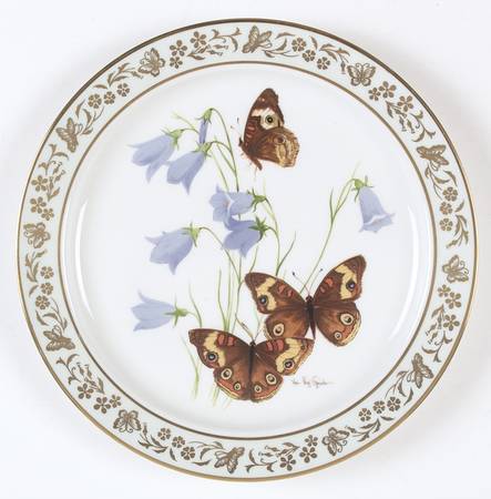 Butterflies & Flowers Buckeye Butterfly And Bluebells - Boxed