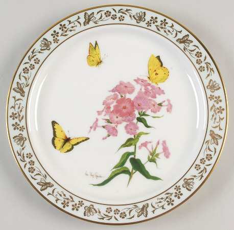 Butterflies & Flowers Clouded Sulphur Butterfly And Phlox - Boxed