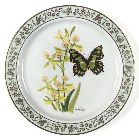 Butterflies & Flowers Malachite Butterfly And Orchid - Boxed