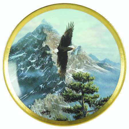 Eagle Conservation Solo Flight - Boxed