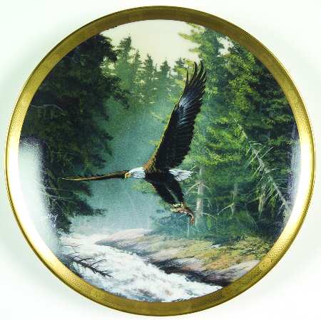 Eagle Conservation Northern Heritage - Boxed