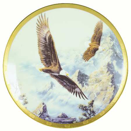 Eagle Conservation Soaring The Peaks - With Box