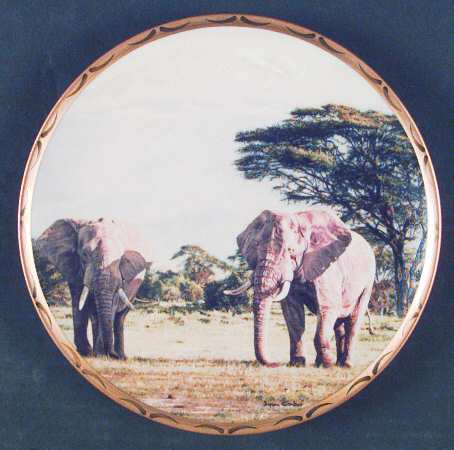 King of The Plains African Ancients - No Box