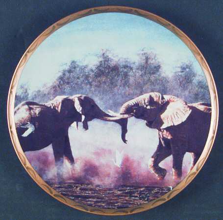 King of The Plains Sparring Bulls - No Box
