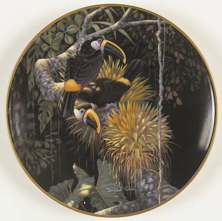 Miracles of The Rainforest Cuvier's Toucans - No Box