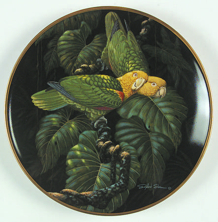 Miracles of The Rainforest Yellow Headed Amazon Parrots - No Box