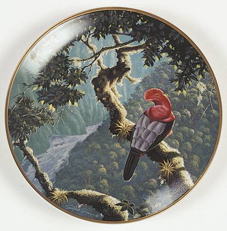 Miracles of The Rainforest Andean Cock Of The Rock - No Box