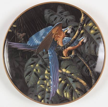 Miracles of The Rainforest Blue & Gold Macaw - Boxed
