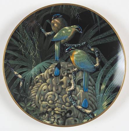 Miracles of The Rainforest Blue-Crowned Motmots - No Box