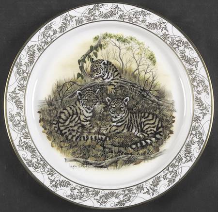 Natures Nursery Bengal Tigers - Boxed
