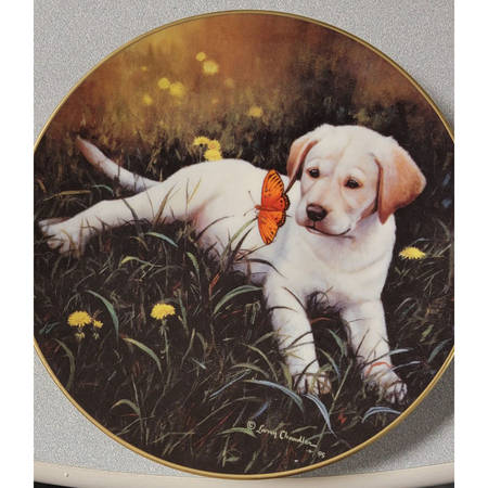 Puppy Portraits Buttercup - Boxed