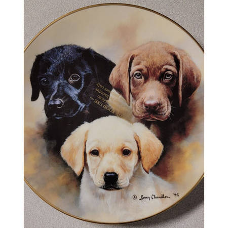 Puppy Portraits Three Of A Kind - Boxed