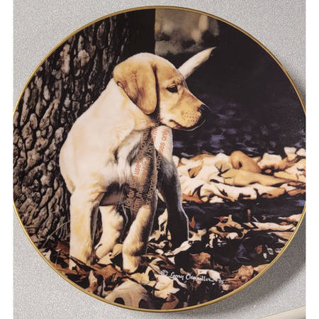 Puppy Portraits Custard - Boxed