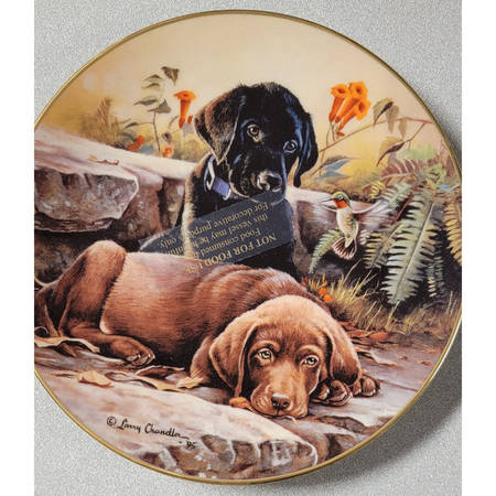 Puppy Portraits Black And Tan - Boxed