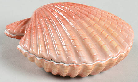 Treasures of The Sea Fan Scallop - Boxed