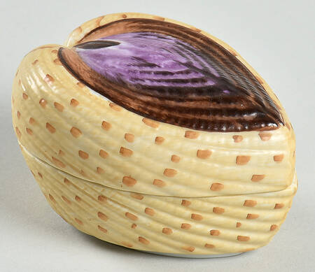 Treasures of The Sea Heart Cockle - Boxed
