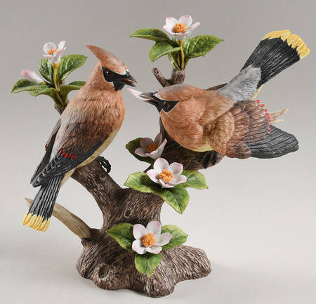 North American Bird Pairs Springtime Courtship - Boxed