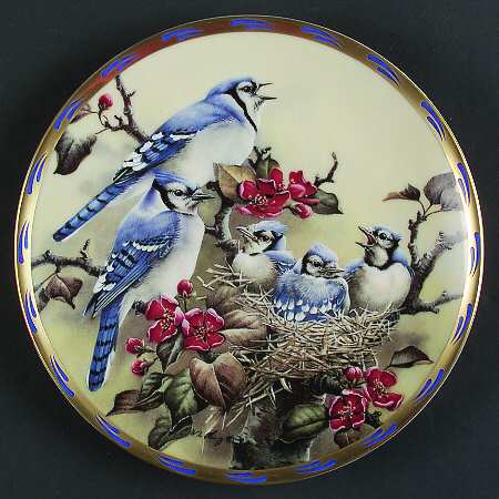Natures Nestlings Morning Song - Boxed
