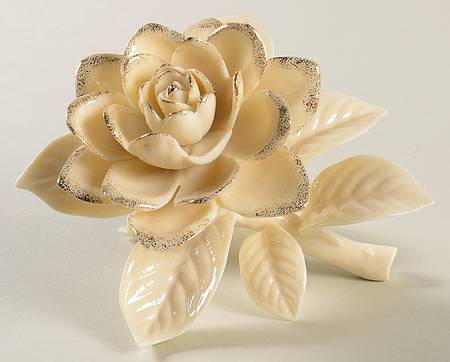Classic Garden Flowers Gardenia - Boxed