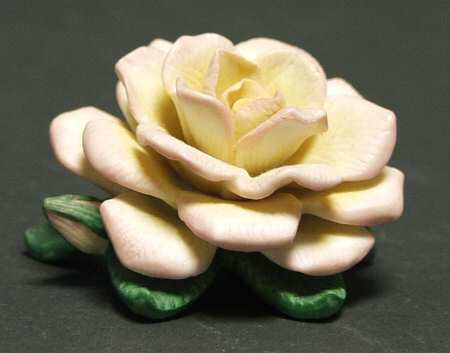 Spirit of America Rose Garden Compassion - Boxed
