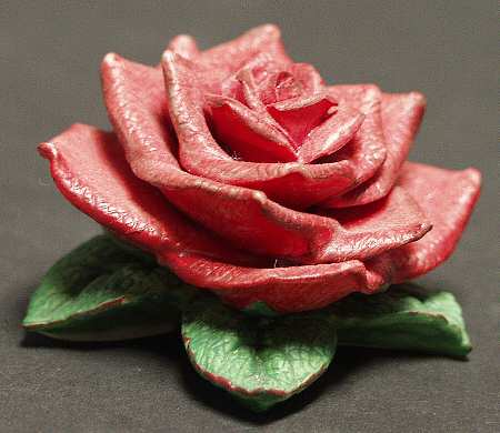 Spirit of America Rose Garden American Pride - Boxed